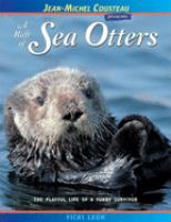 A_raft_of_sea_otters
