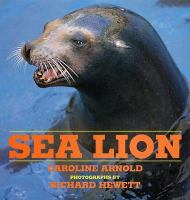Sea_lion